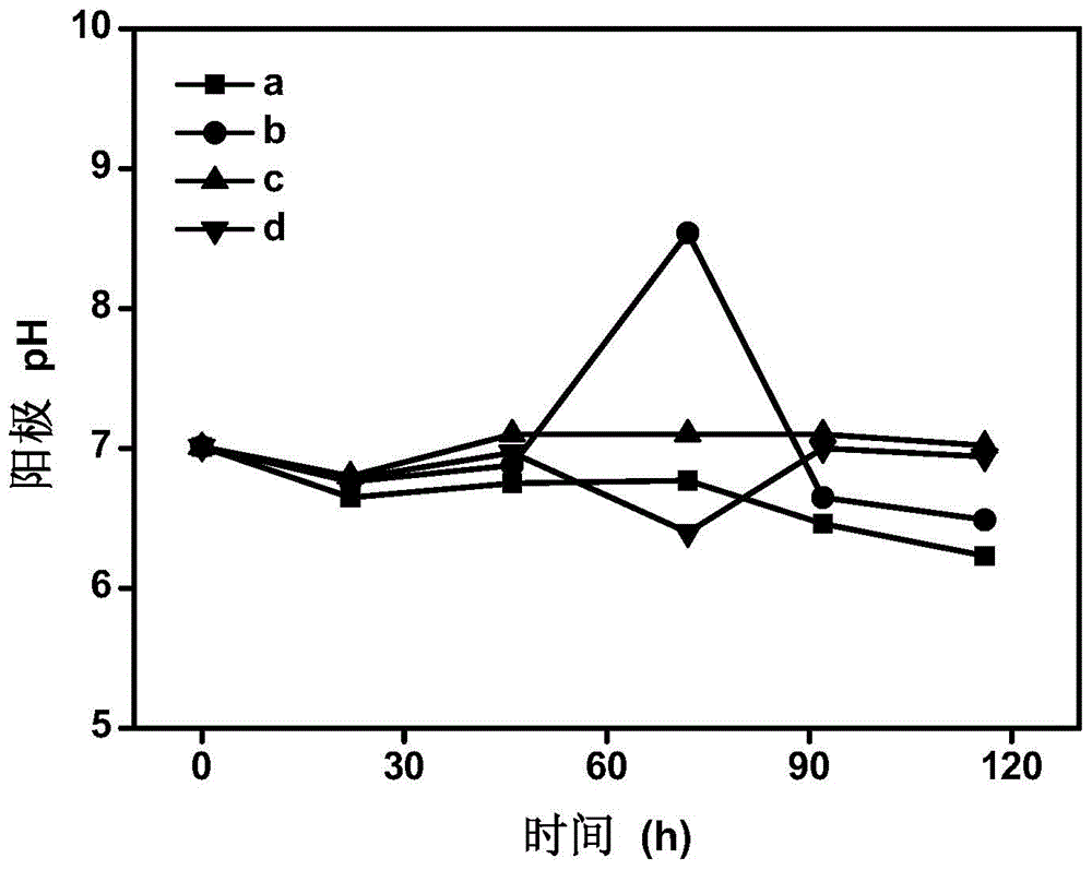 Device and method for removing and recycling ammonia nitrogen in sewage by means of microbial fuel cell