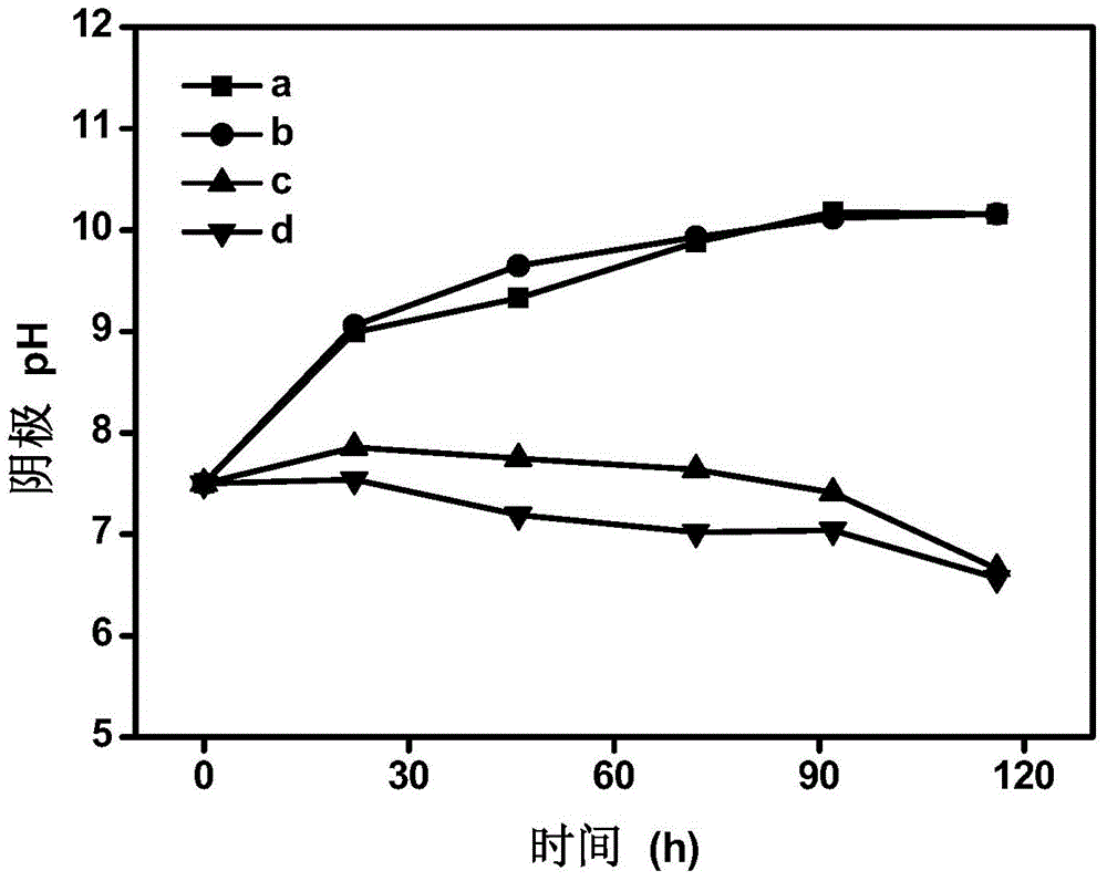 Device and method for removing and recycling ammonia nitrogen in sewage by means of microbial fuel cell