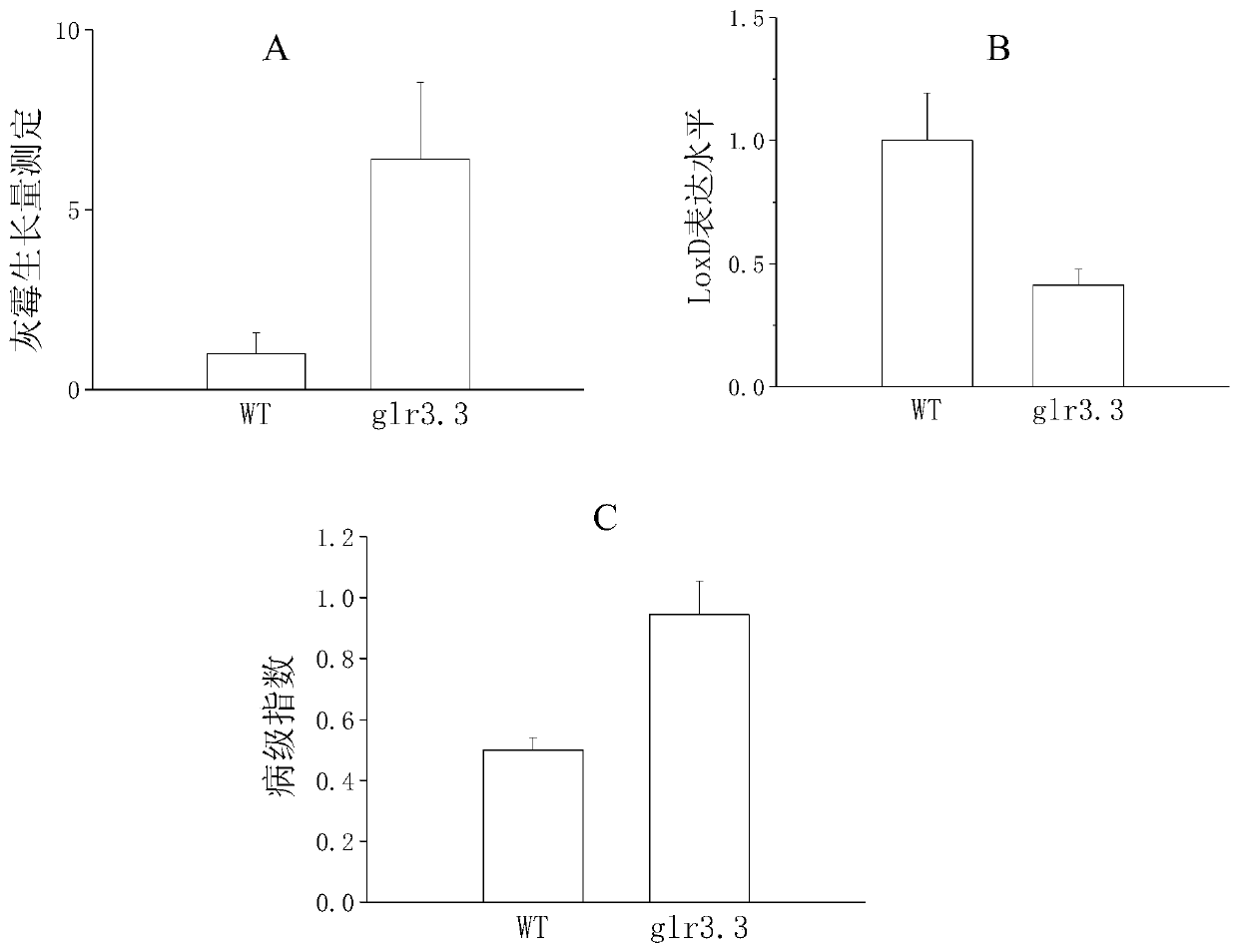 Application of slglr3 Gene in Improving Plant Botrytis Botrytis Resistance