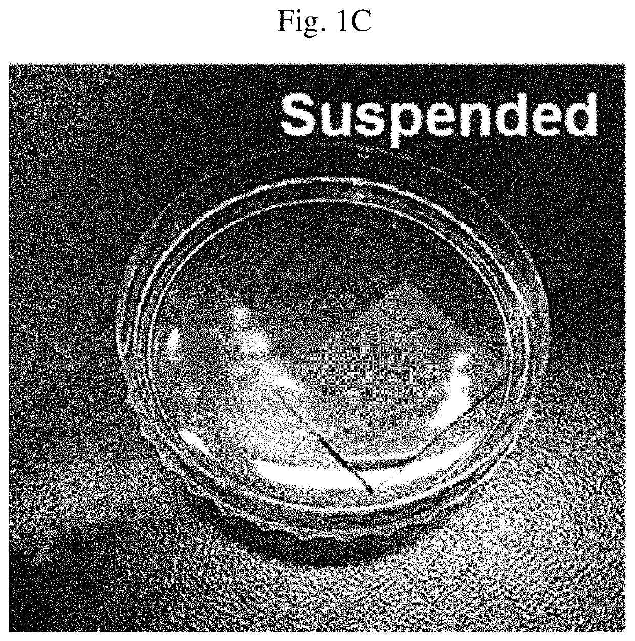 NANO membrane, method of manufacturing NANO membrane, and apparatus for speaker and microphone using NANO membrane