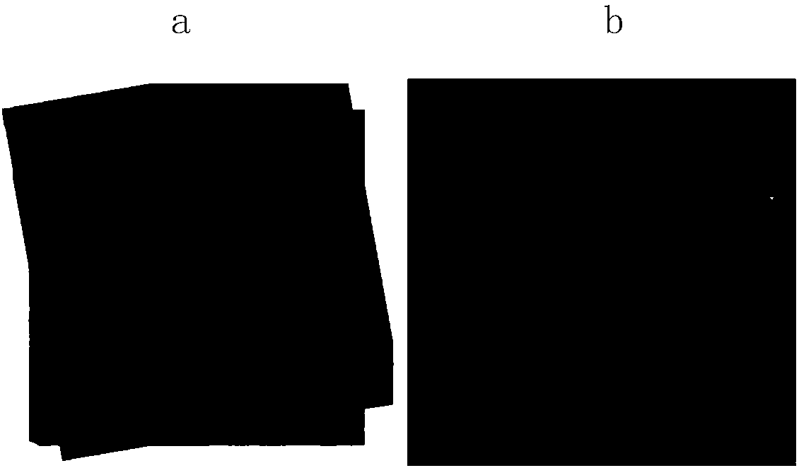 Correlative light-and transmission electron microscopy sample treatment reagent and CLEM detection method