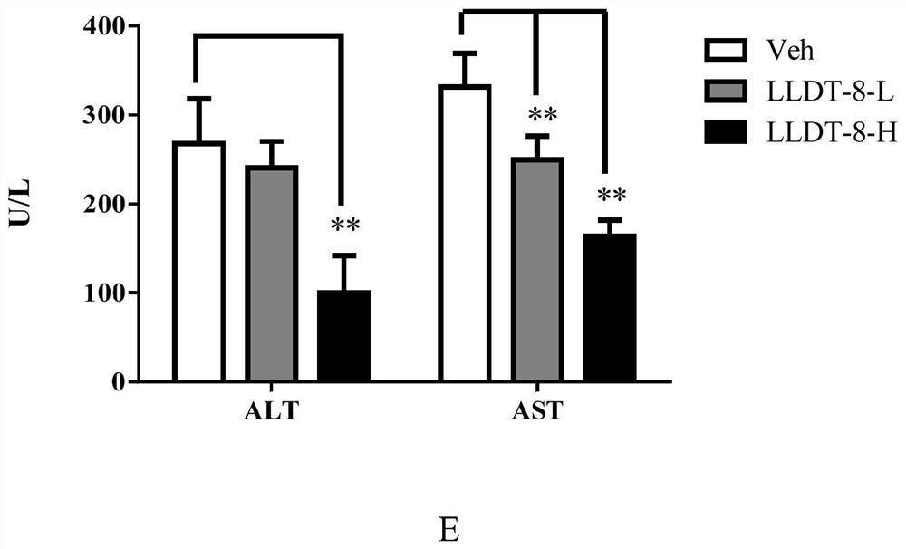 Application of LLDT-8 ((5R)-5-hydroxytriptolide) to preparation of drug for treating non-alcoholic fatty liver disease