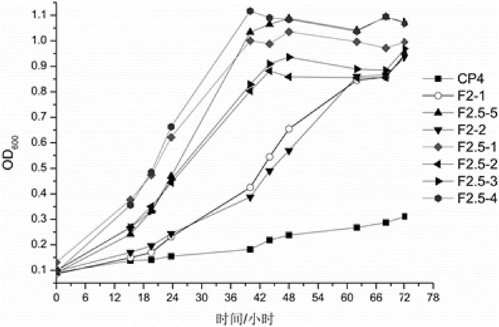 Error-prone whole-genome shuffling method of zymomonas mobilis and furfural-tolerant zymomonas mobilis