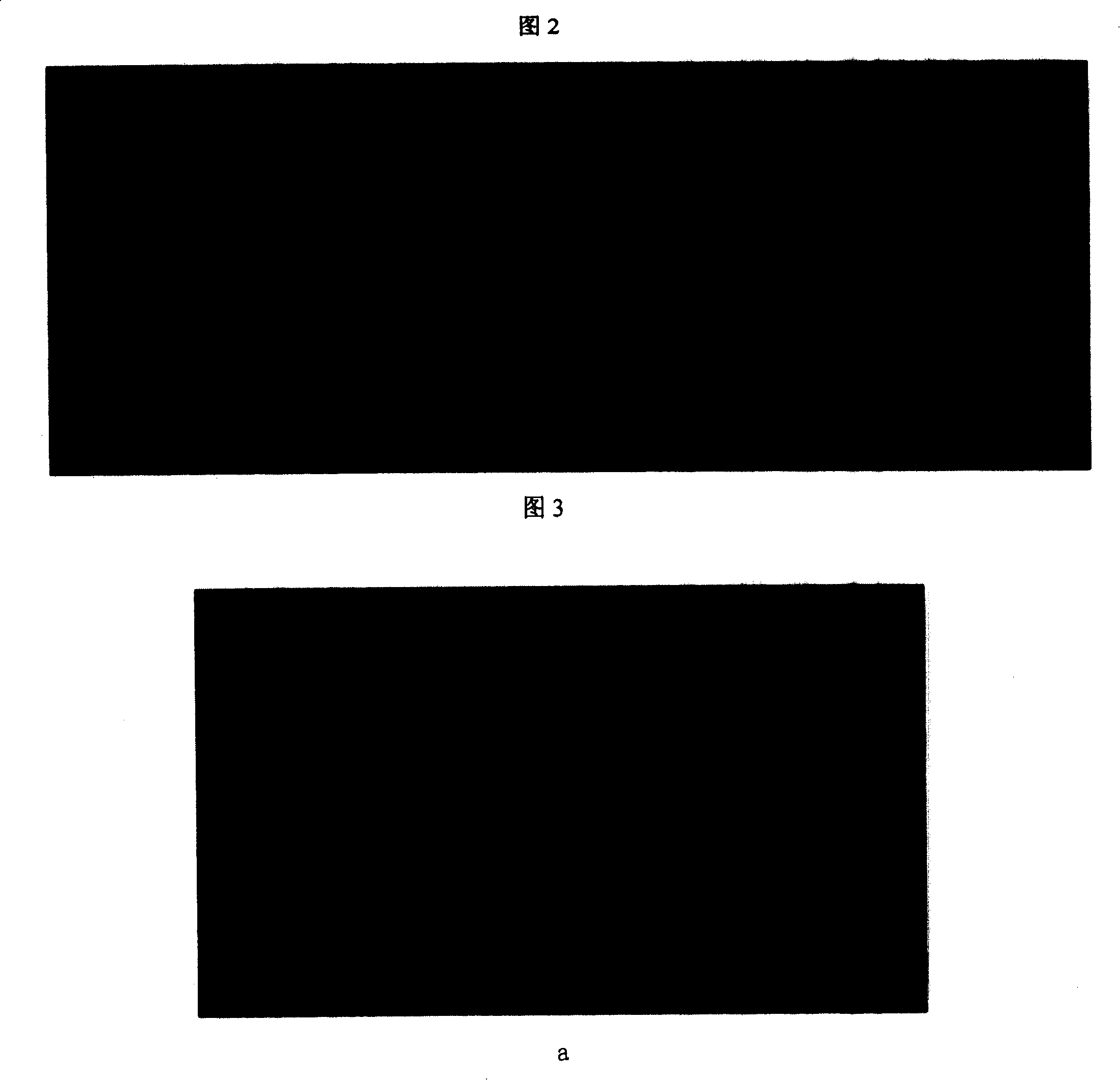 Oral biological film dynamic model device and its oral biological film forming method