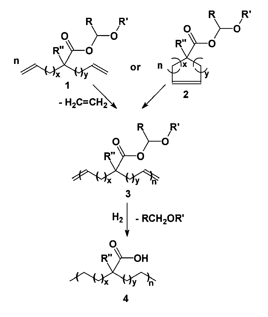 Highly organized polyolefin structures