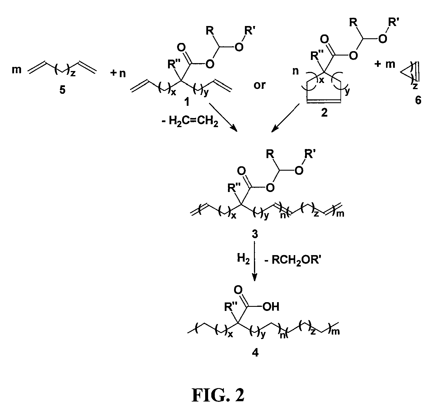 Highly organized polyolefin structures