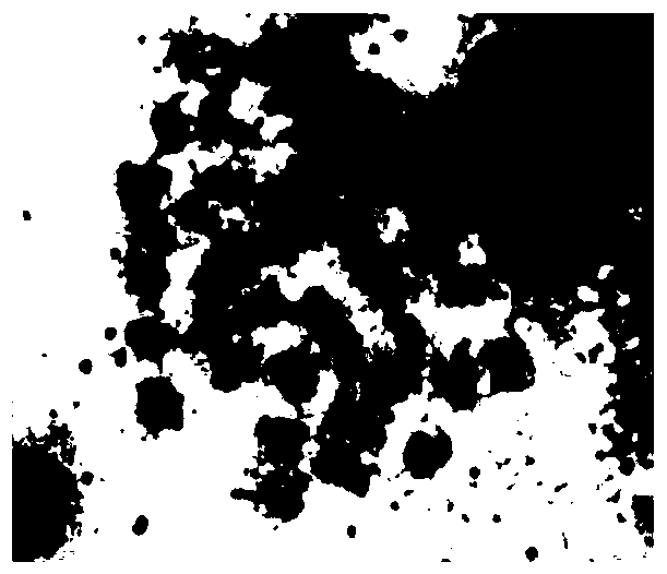 Preparation Method of Chromosome of Red-spotted Grouper Adult