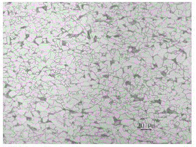 Method for manufacturing thick hot-rolled dual-phase steel based on CSP (Compact Strip Production) process