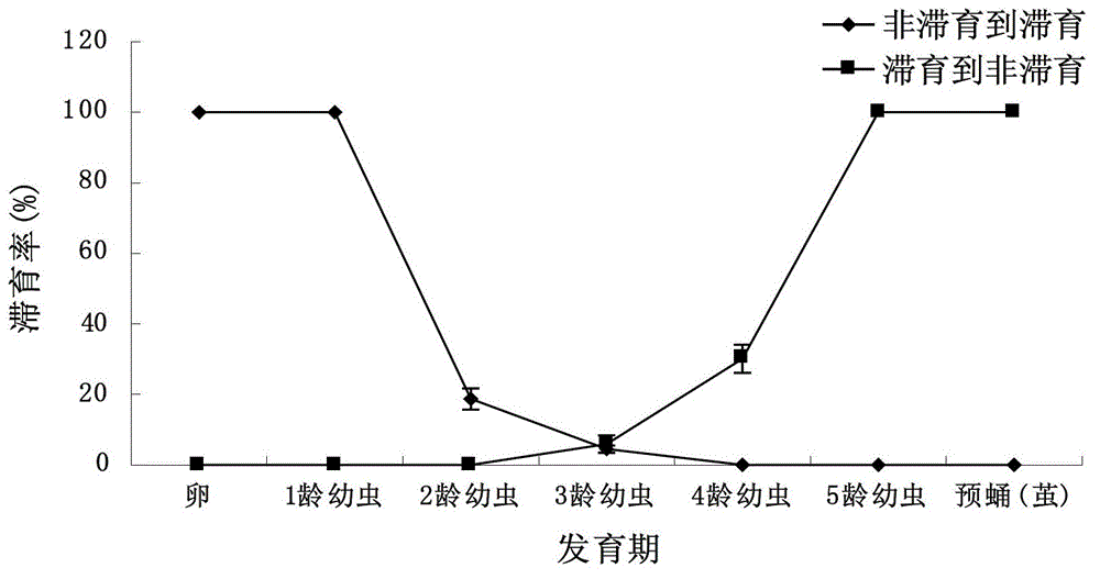 Method for regulating and controlling diapause of agryponflexorius