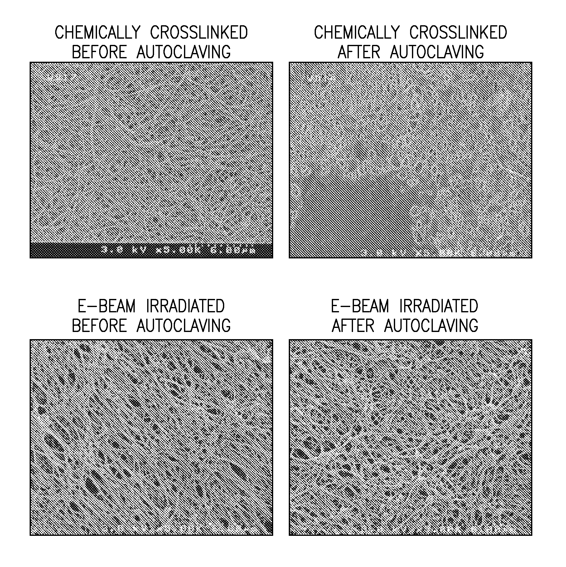 Permanent hydrophilic porous coatings and methods of making them