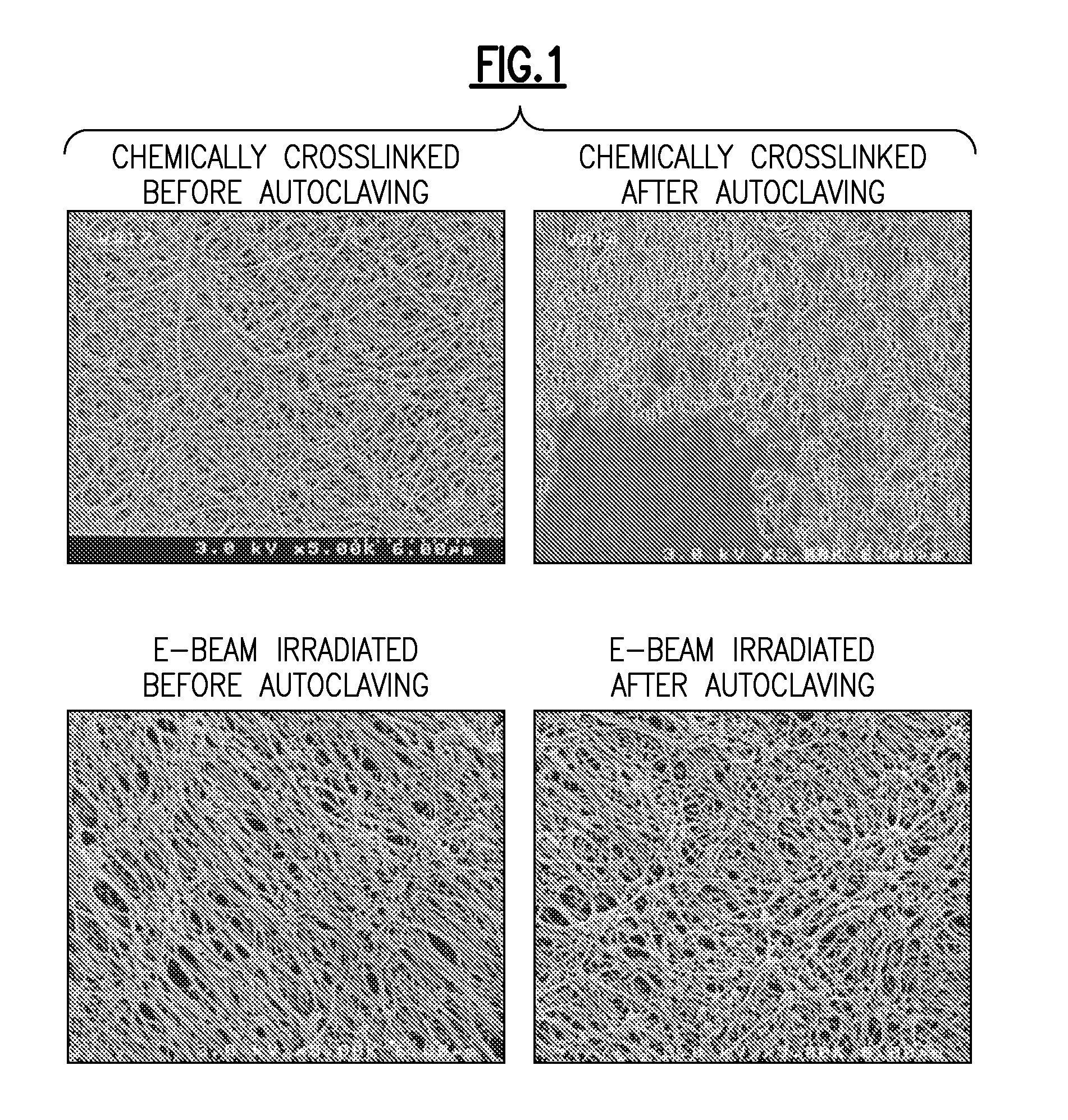 Permanent hydrophilic porous coatings and methods of making them