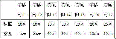 Method for planting Suaeda salsa on medium-low-arsenic saline and alkaline land and extracting plant salts