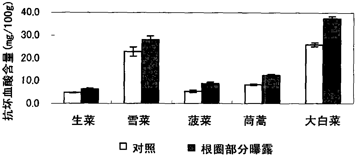 Method for increasing useful component content of plant body in hydroponic culture