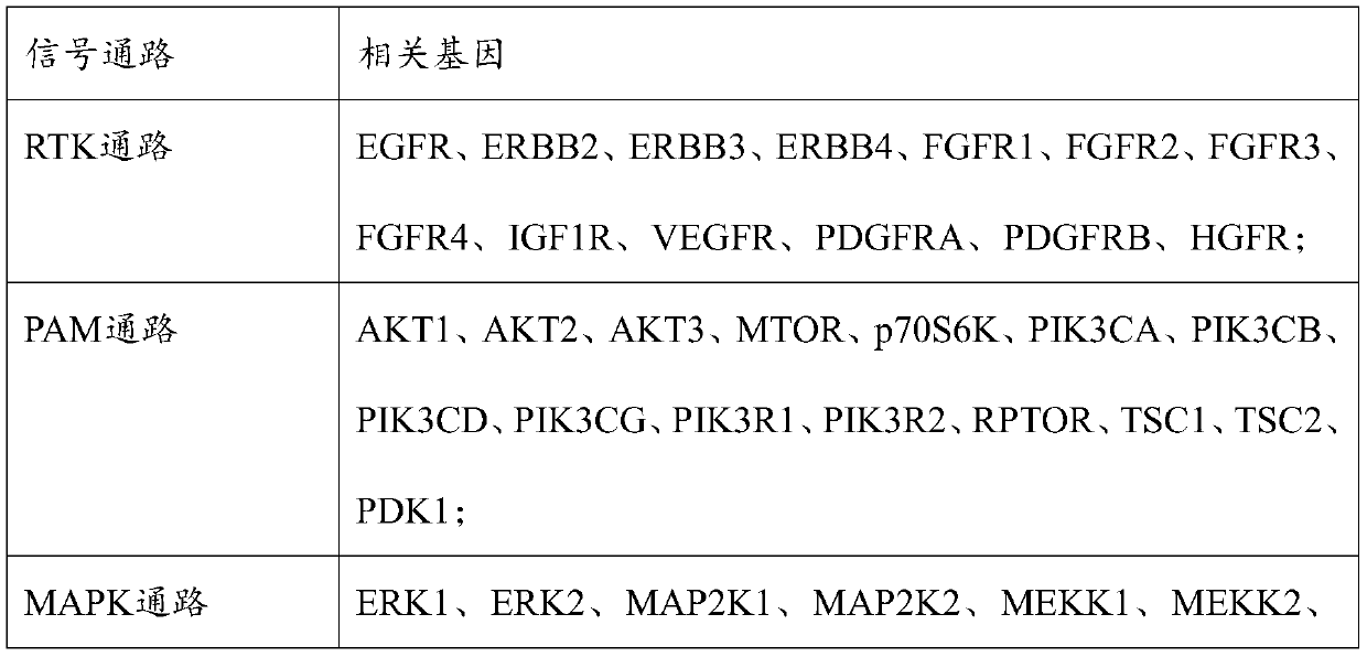 Breast cancer-related kinase mutation detection panel and application thereof