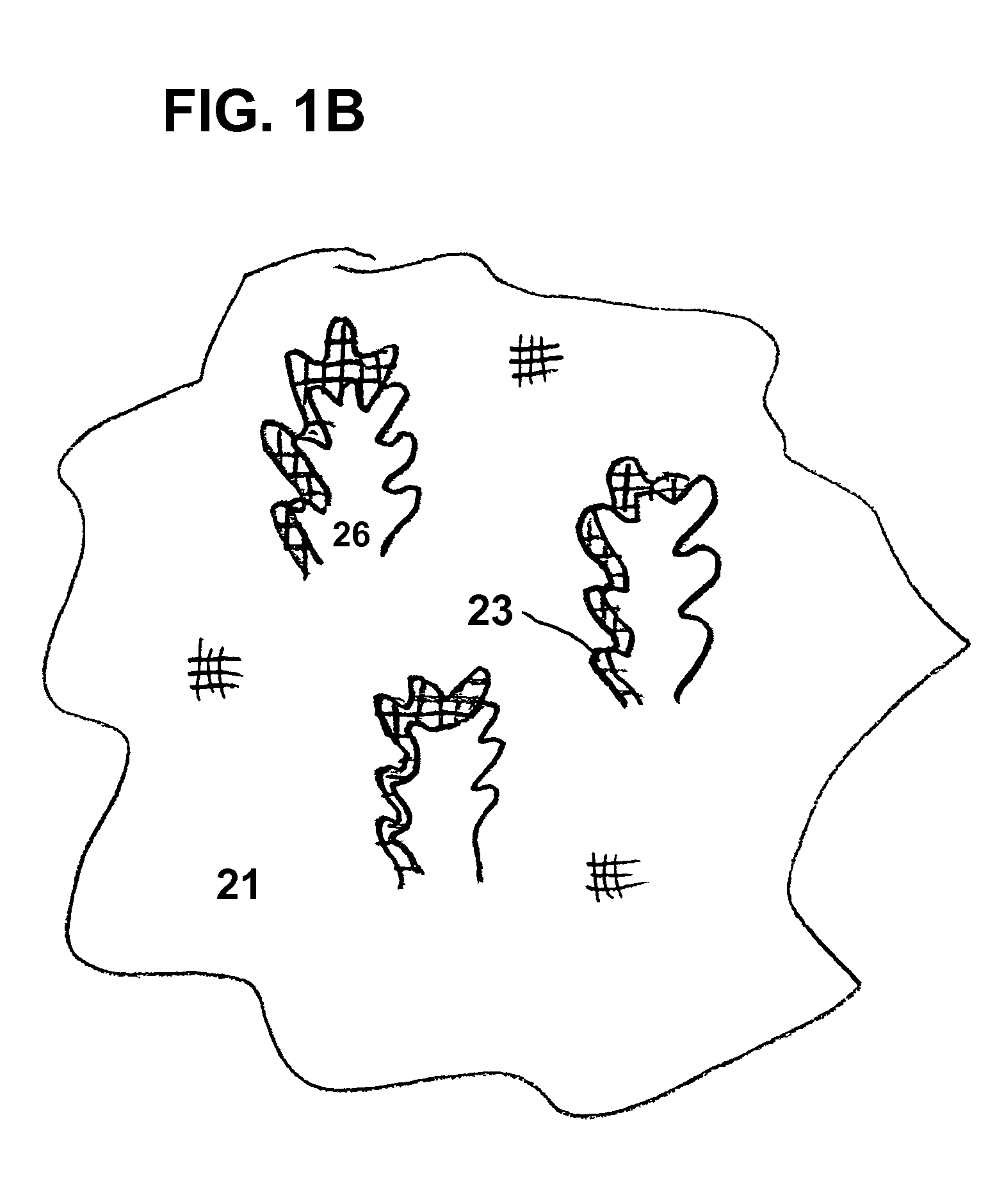 Concealed outdoor enclosure having one-way visibility over a 360 degree visual field