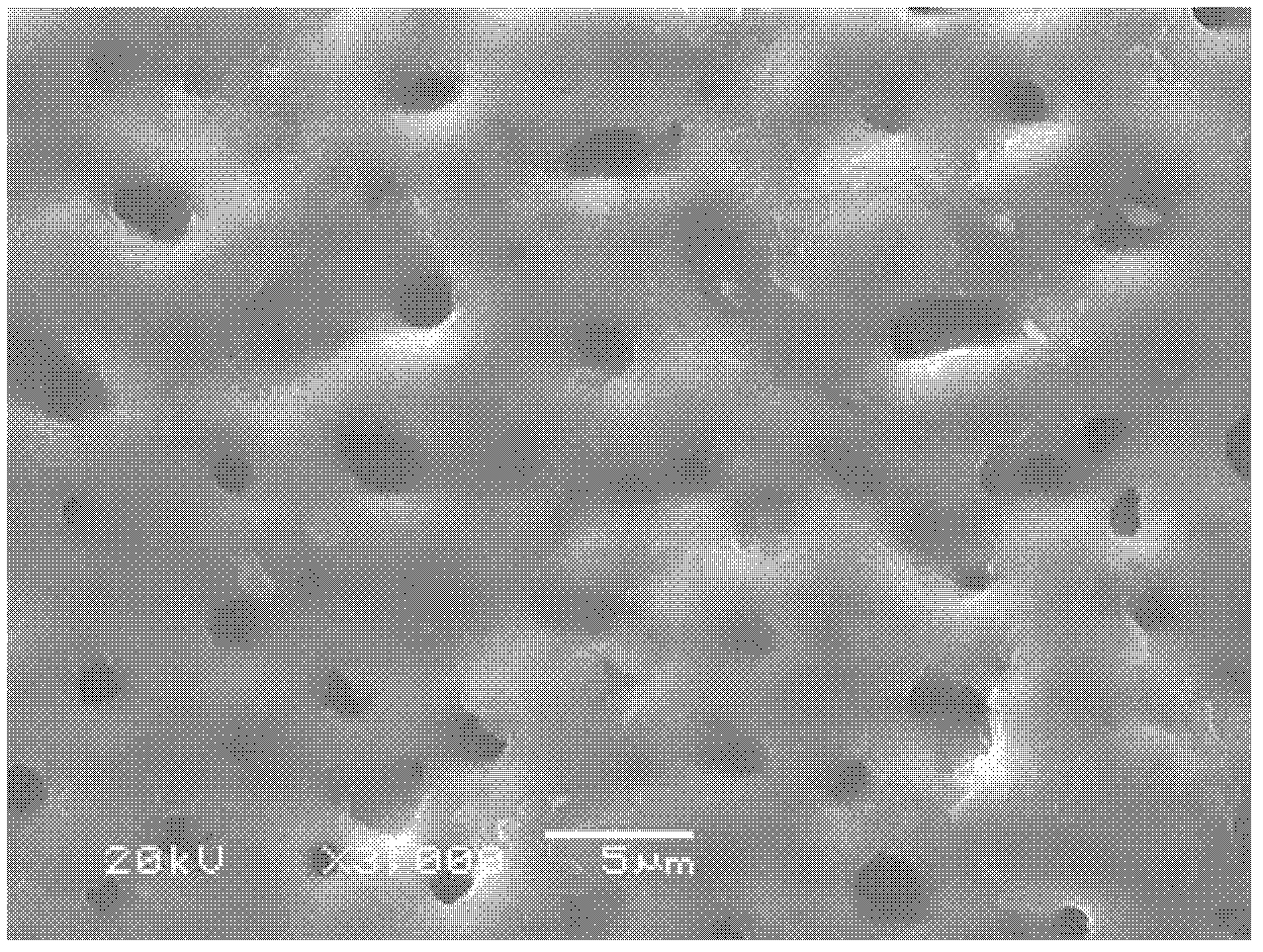 Preparation method for microarc oxidation/hydrothermal treatment composite film on surface of magnesium alloy