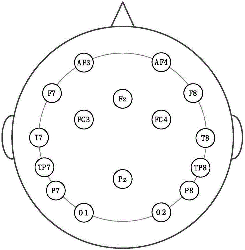 Wearable brain function regulation and control system