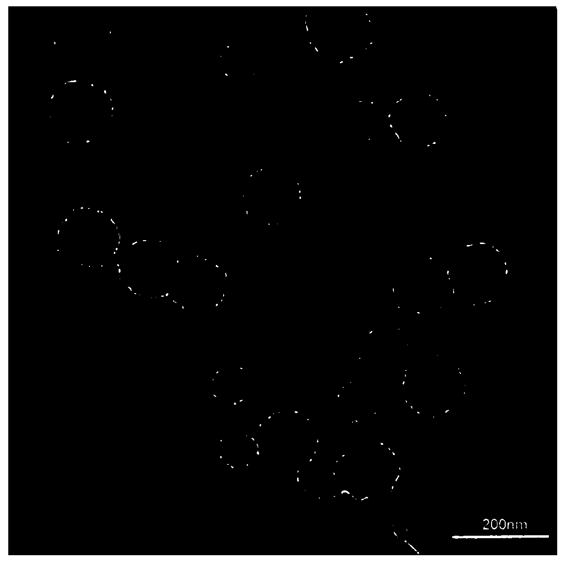 Preparation method, product and application of a pH-sensitive nano-sized bcl-2 selective inhibitor