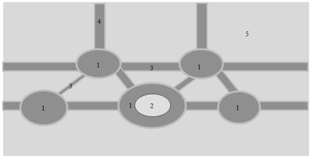 Method for improving ecological suitability of birds in intertidal zone contiguous spartina alterniflora invasion area