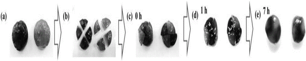 Self-healing polyanion-chitosan quaternary ammonium salt hydrogel and use thereof