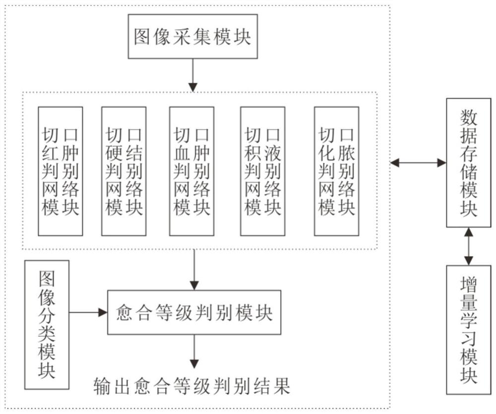 Surgical incision healing grade discrimination system