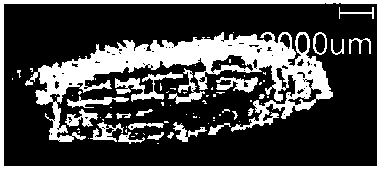 Mass spectrometry imaging method for forchlorfenuron in cucumis melon tissue