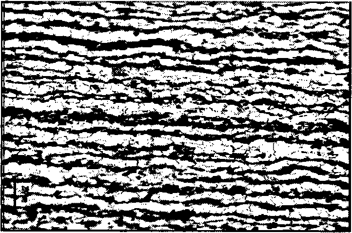 Method for eliminating defective structure in structural alloy steel and tool steel substrate by using impulse current