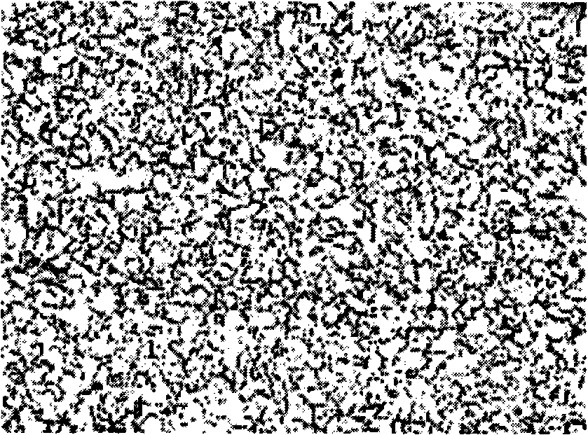 Method for eliminating defective structure in structural alloy steel and tool steel substrate by using impulse current