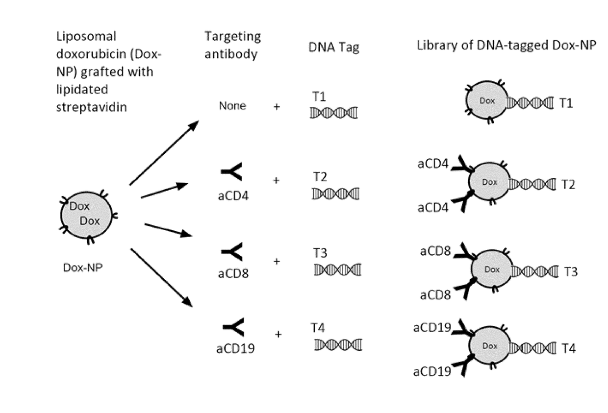 High throughput optimization of content-loaded nanoparticles