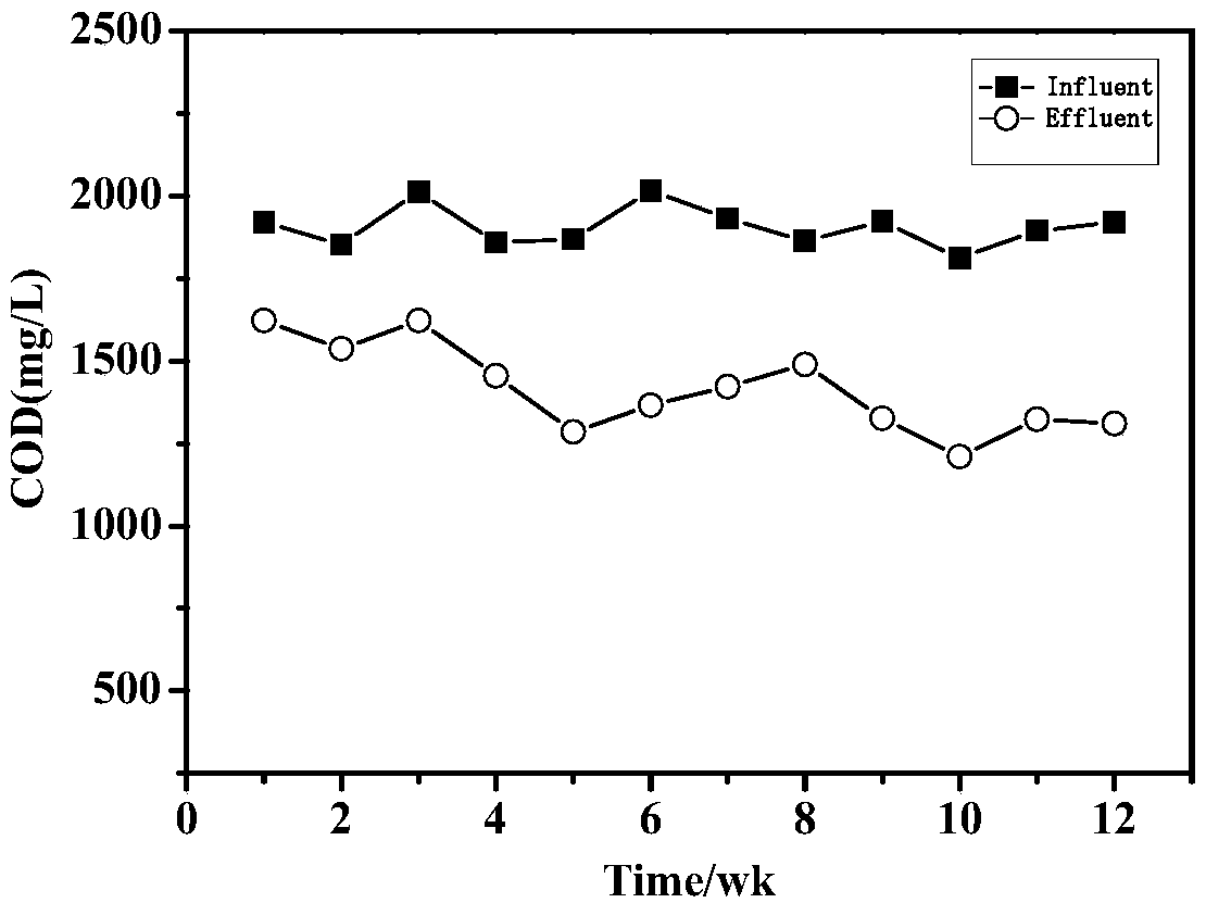 Waste leachate-based high-efficiency nitrogen and carbon removing anaerobic reaction device and method