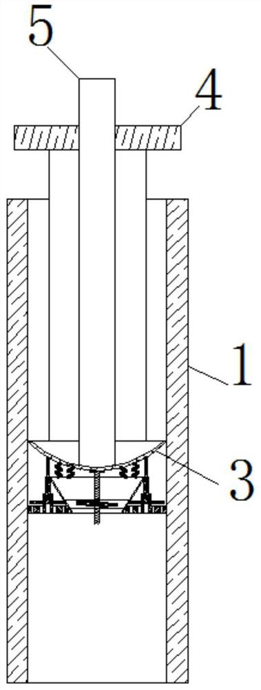 A kind of advanced immunization device for piglet pseudorabies in positive pig farm for medical use