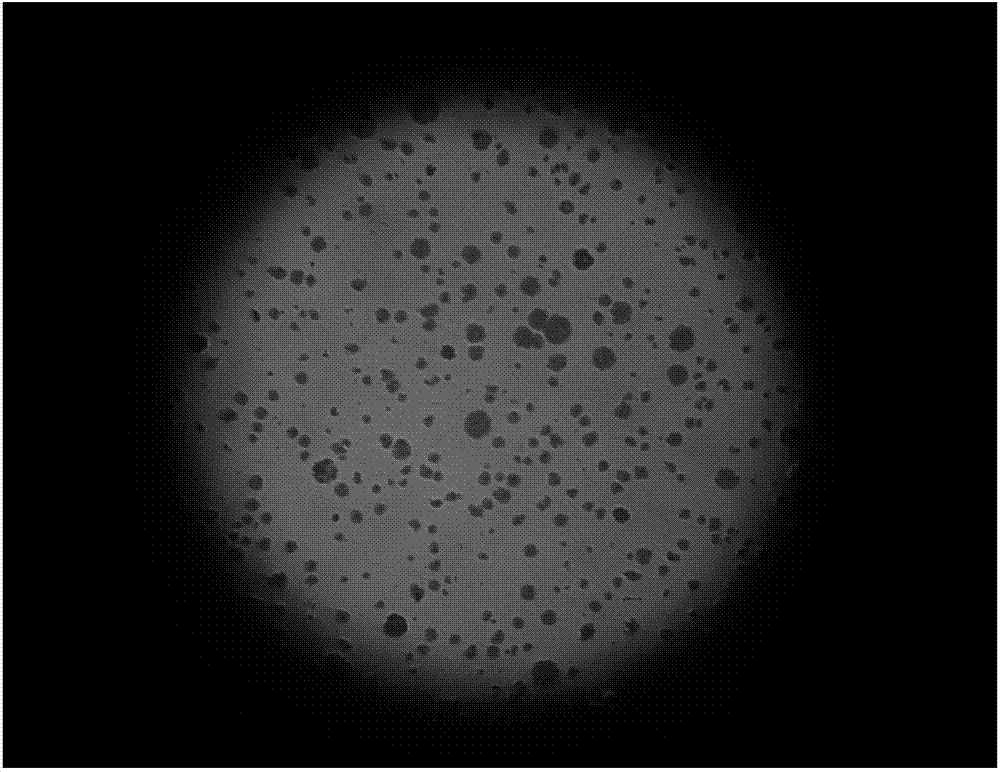 Nodulizer Companion