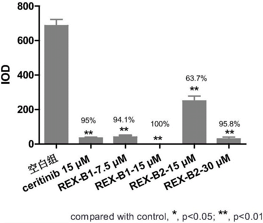 4-Saturated cyclosubstituted aniline protein kinase inhibitor