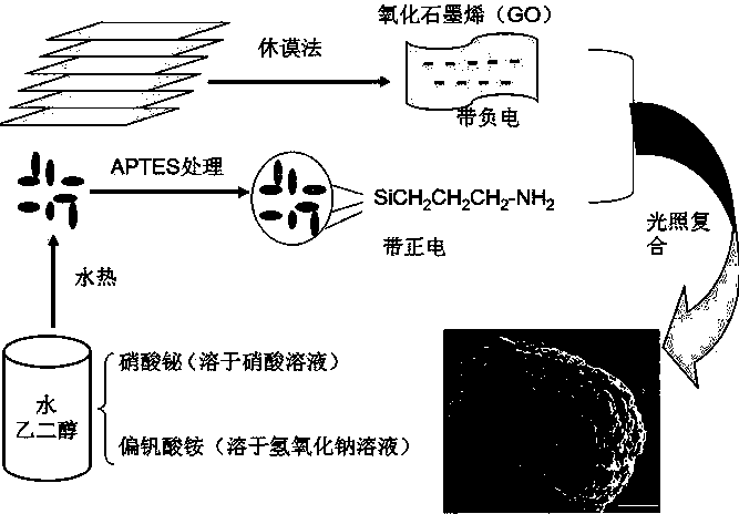 Method for preparing pucherite-graphene composite photocatalyst