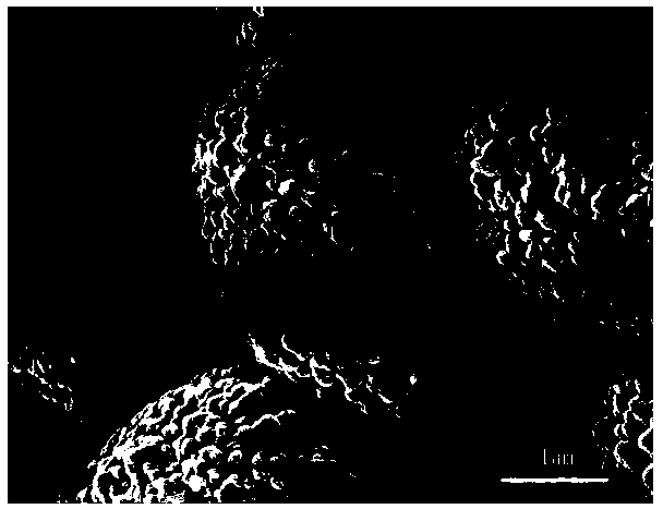 Method for preparing pucherite-graphene composite photocatalyst