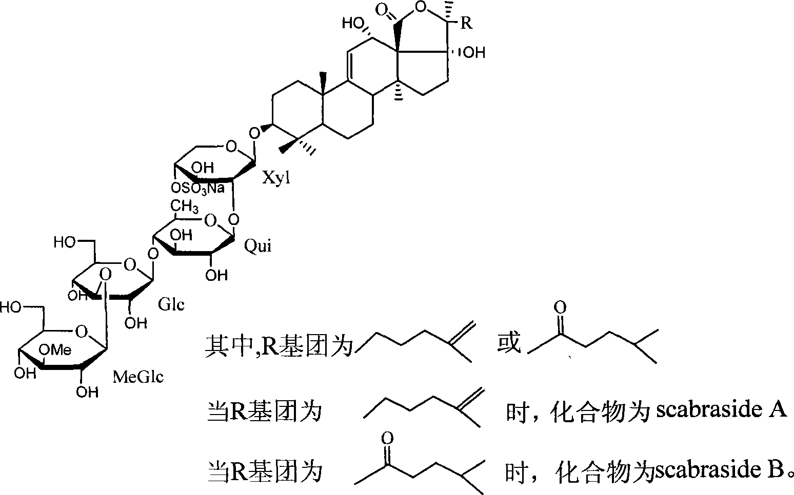 Saponin antimycotic compounds in holothuria scabra jaeger and preparation method thereof