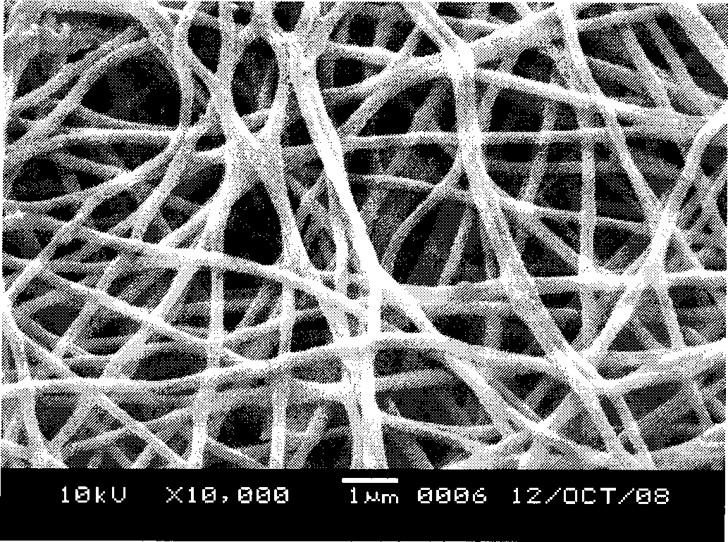 In-situ preparation method for functional nullvalent nano-iron/polyelectrolyte composite fibrofelt