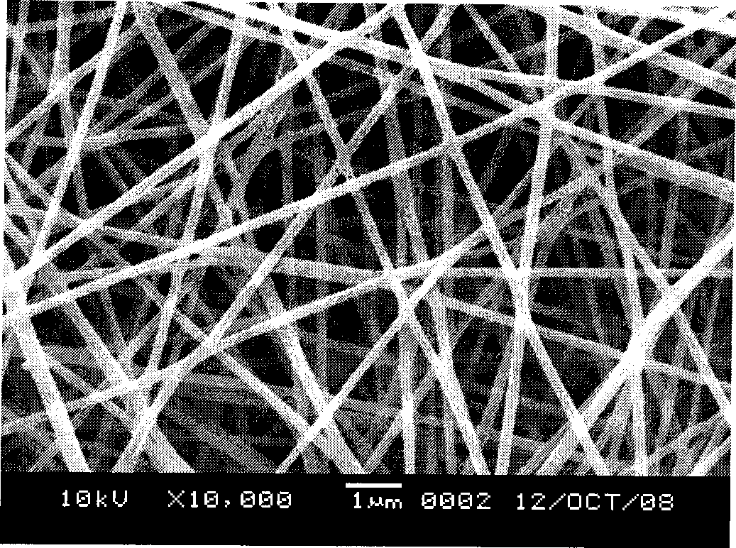 In-situ preparation method for functional nullvalent nano-iron/polyelectrolyte composite fibrofelt