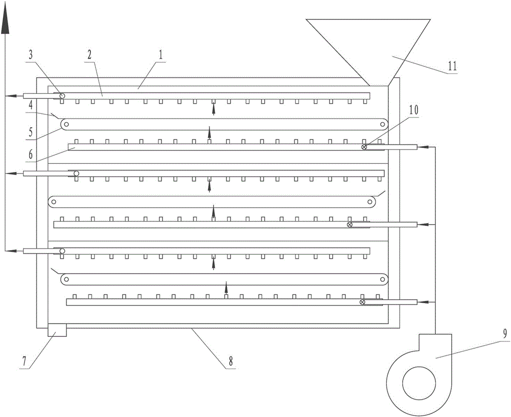 Gradient drying device for pine nuts