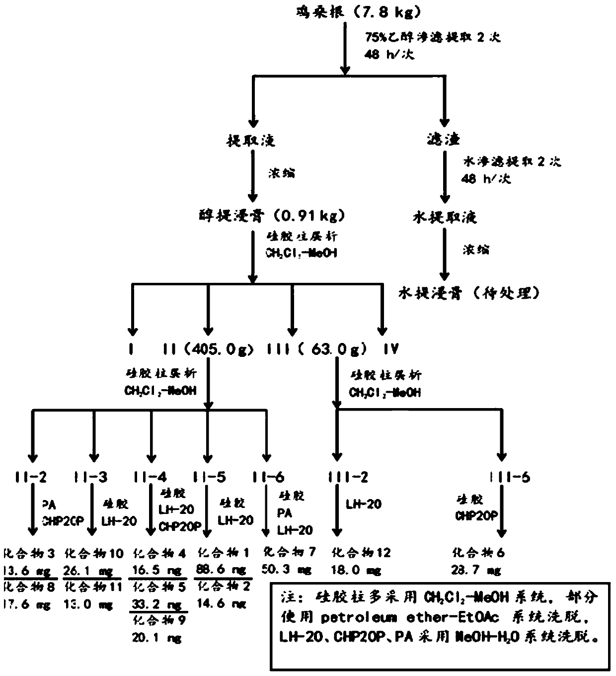 Morus australis root extract as well as extraction separation method and application thereof