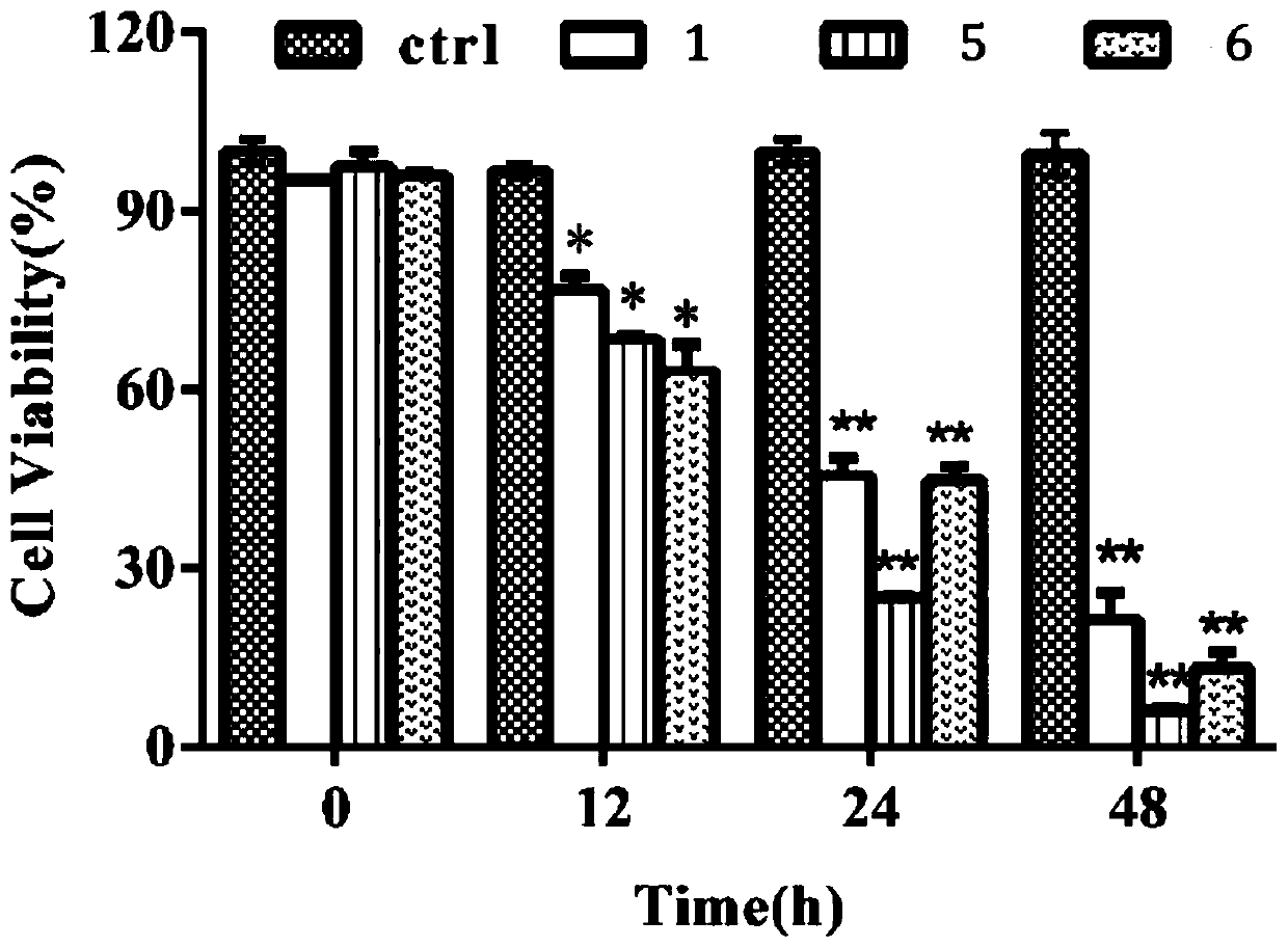 Morus australis root extract as well as extraction separation method and application thereof