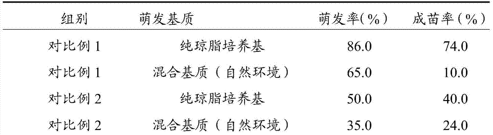 Nanometer artificial seed of Dendrobium officinale and manufacturing method thereof