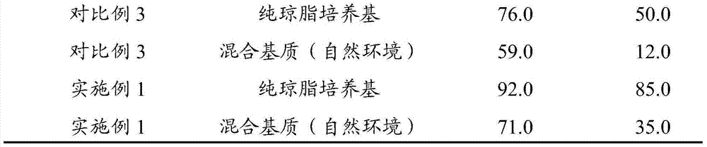 Nanometer artificial seed of Dendrobium officinale and manufacturing method thereof