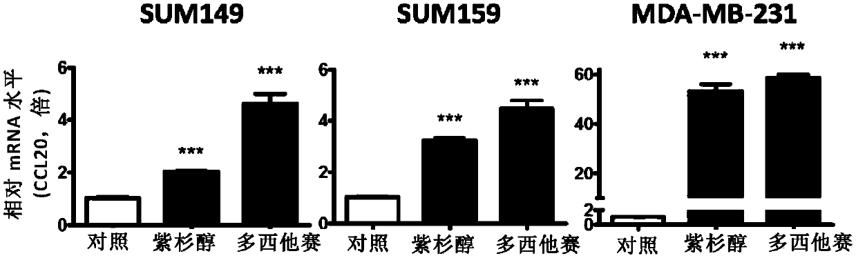 Application of CCL20 to evaluation of therapeutic effect of tumor chemotherapy and tumor therapy