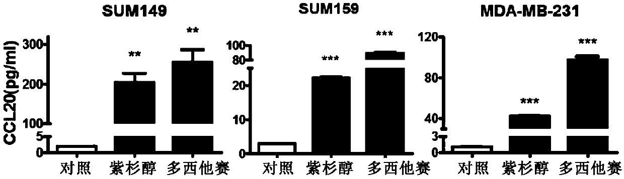 Application of CCL20 to evaluation of therapeutic effect of tumor chemotherapy and tumor therapy