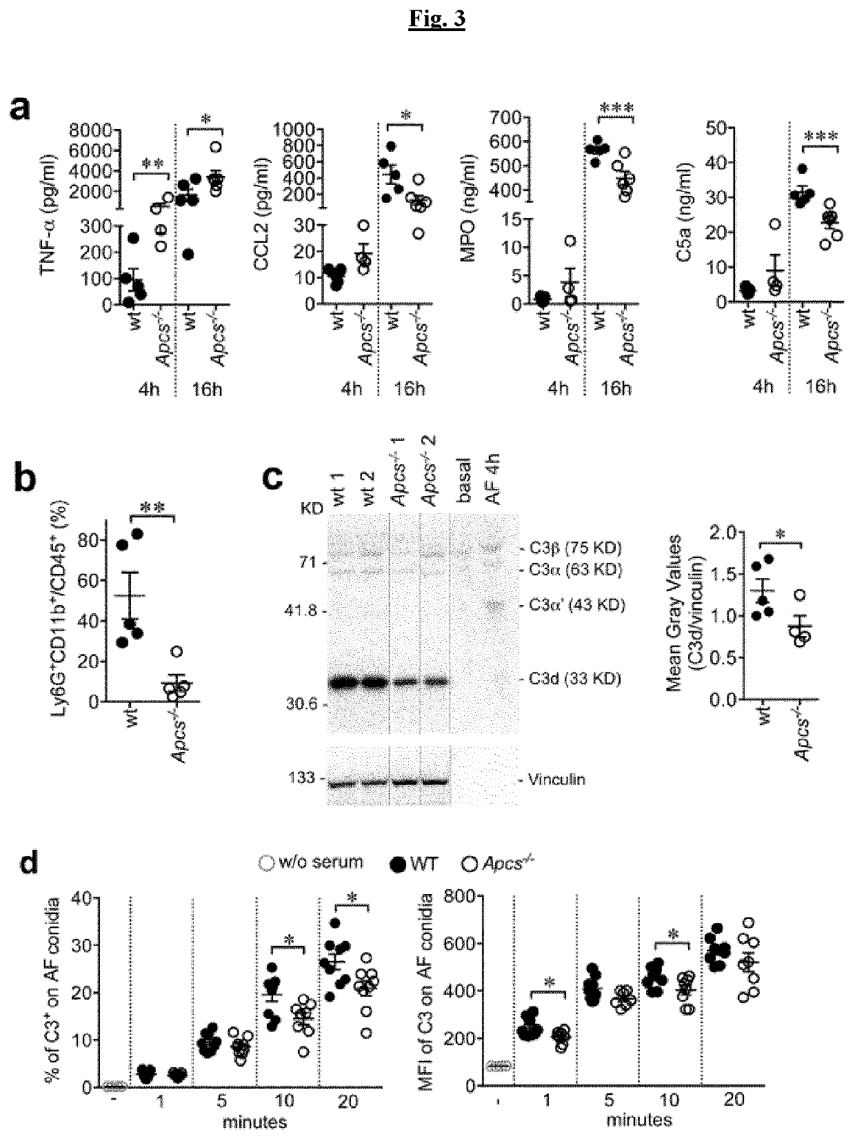 Use of sap for the treatment of eurotiomycetes fungi infections