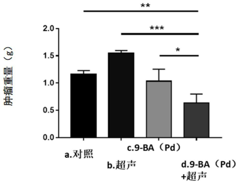 Combination of dihydroporphin derivative and ultrasound medical system