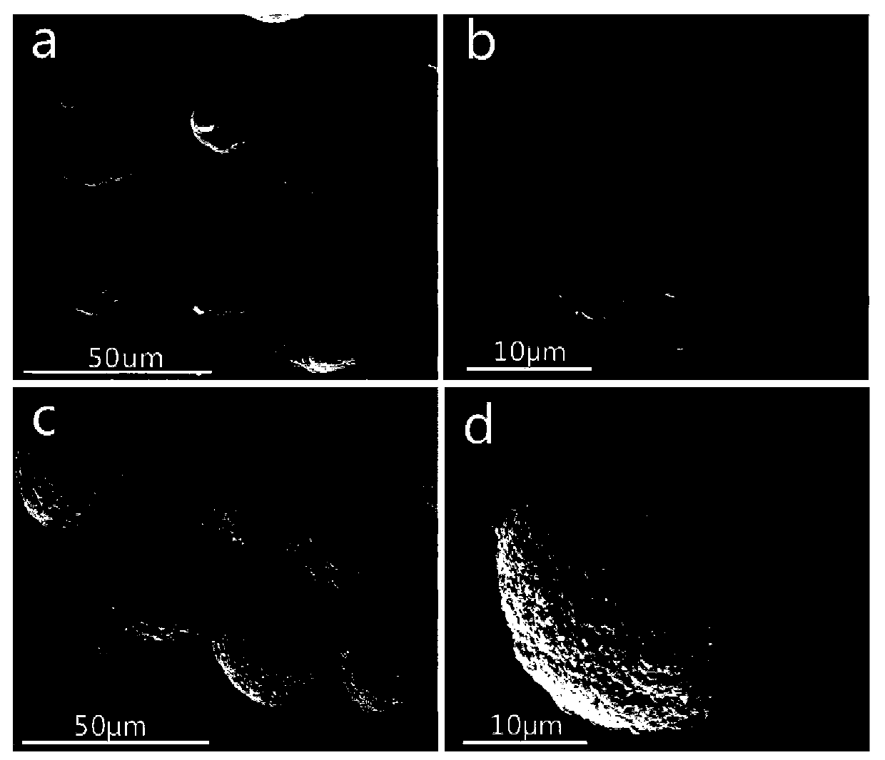 Preparation method of iron-clad aluminum type composite powder and product thereof