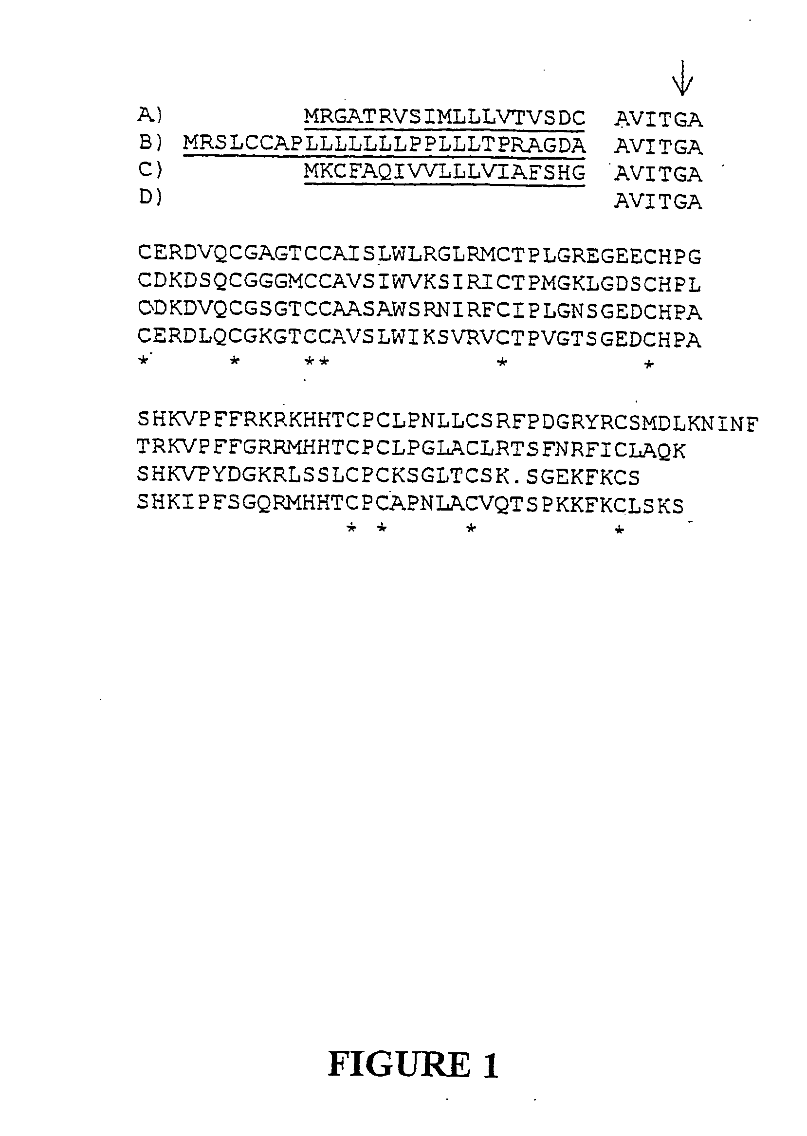 Prokineticin polypeptides, related compositions and methods