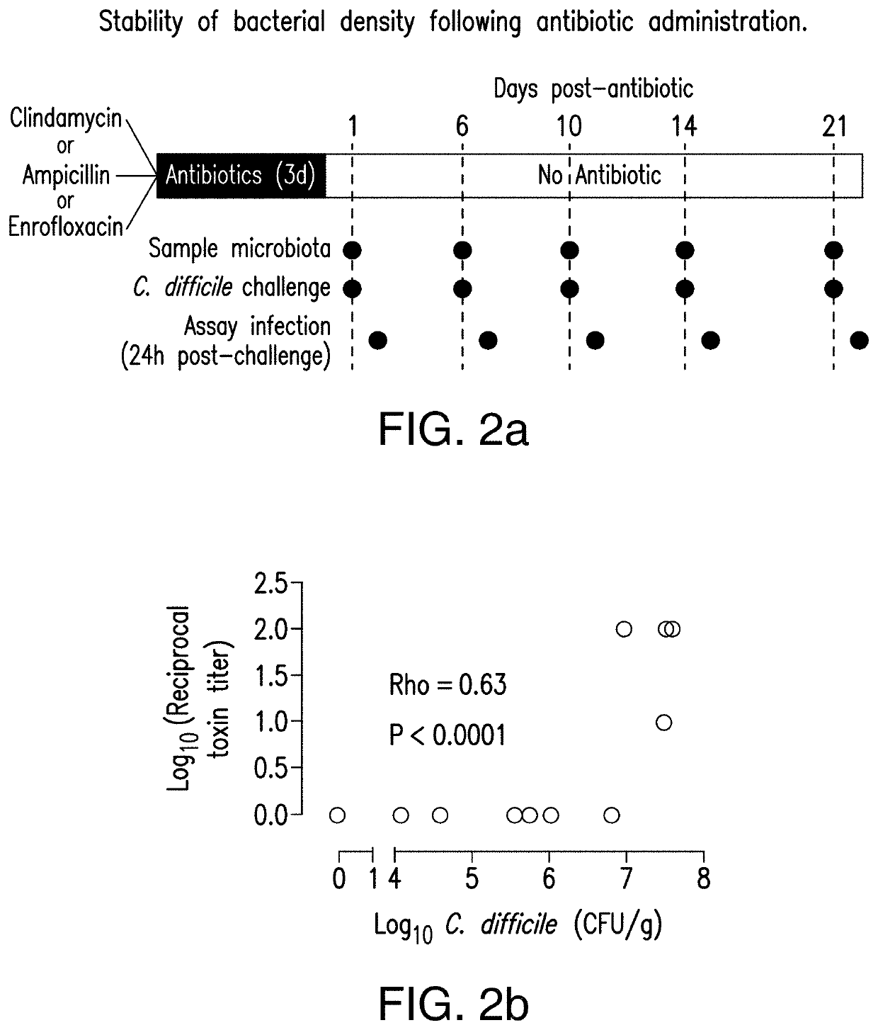 Methods and compositions for reducing clostridium difficile infection